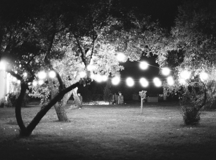 perfectday-svadba-inspired-by-love-wiegerova-vila_0031